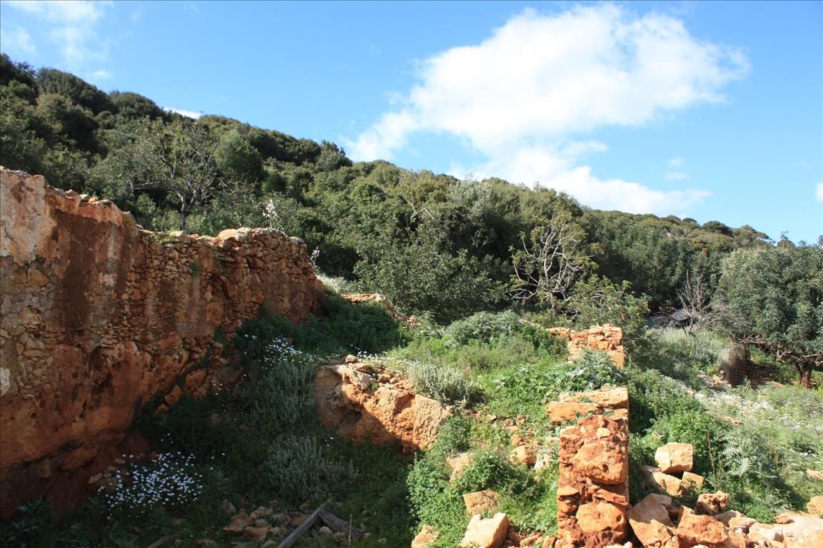 Land in Heraklion, Greece, 2 034 m² - picture 6