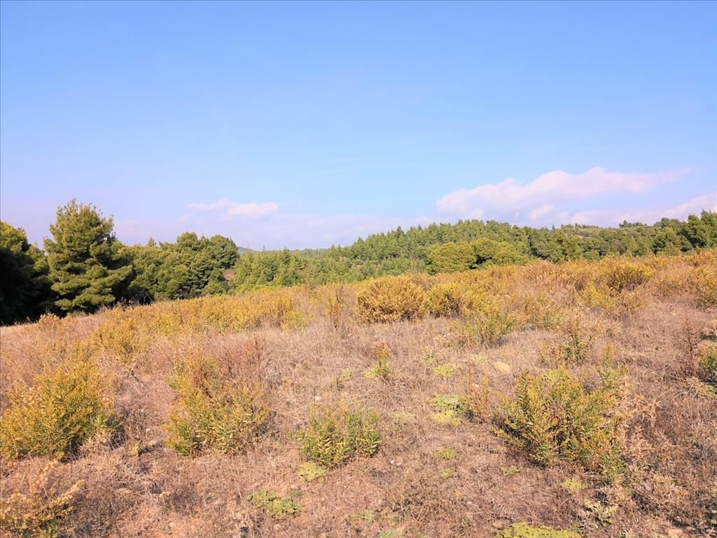 Terrain en Sithonie, Grèce, 5 000 m² - image 5