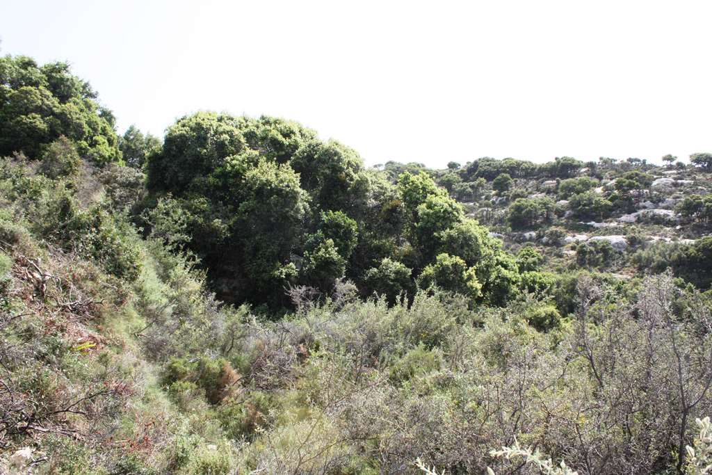 Land in Heraklion, Greece, 27 000 m² - picture 5