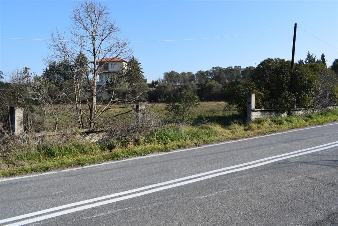 Terreno en Salónica, Grecia, 3 000 m² - imagen 7