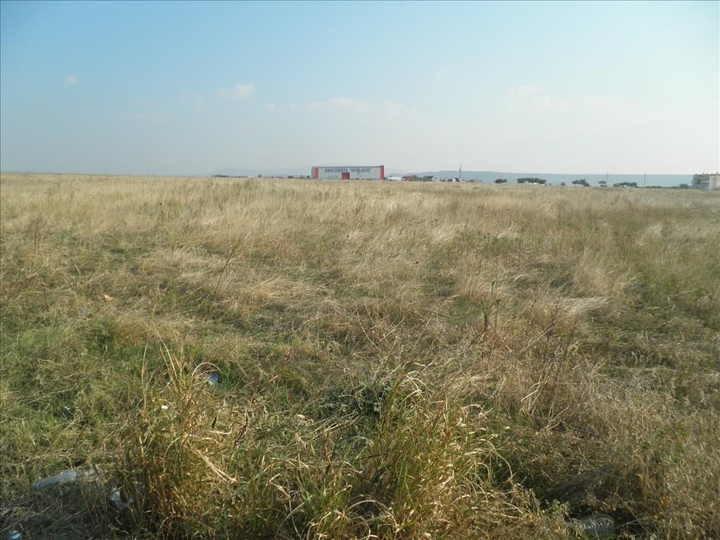 Terrain en Chalcidique, Grèce, 4 037 m² - image 7