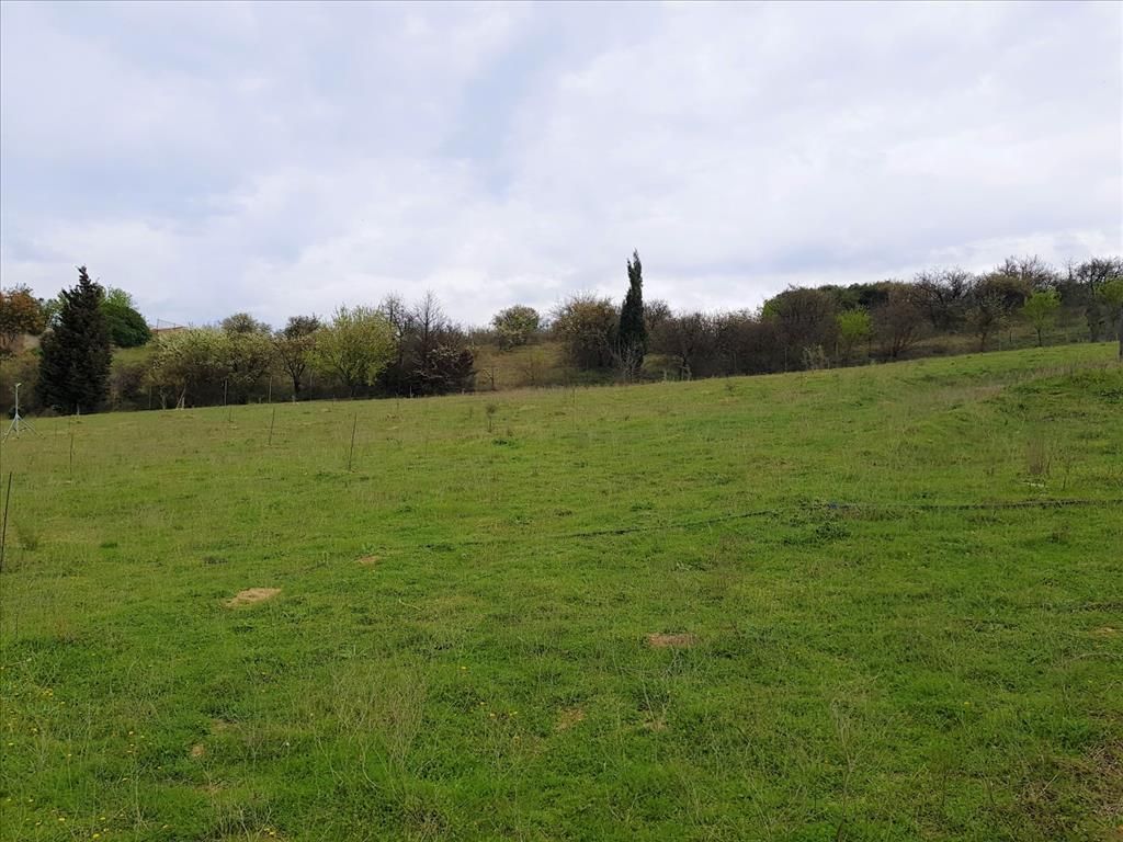 Terrain à Thessalonique, Grèce, 12 000 m² - image 6