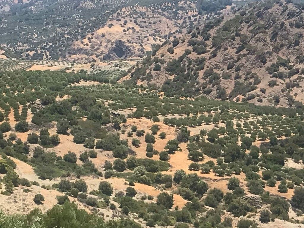 Land in Heraklion, Greece, 30 000 m² - picture 8