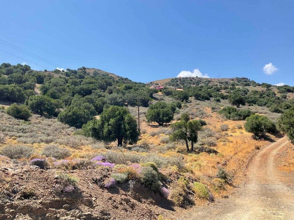 Grundstück in Heraklion, Griechenland, 32 687 m² - Foto 8