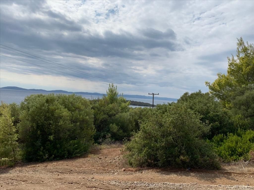 Terreno en Sitonia, Grecia, 12 458 m² - imagen 8