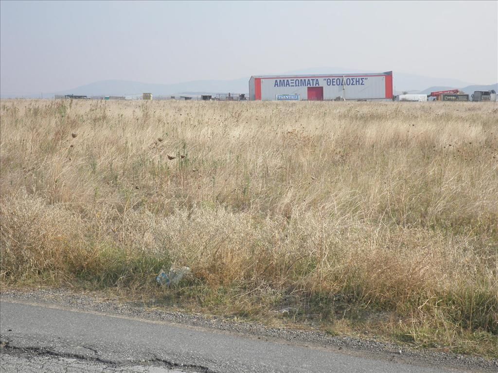 Terrain en Chalcidique, Grèce, 4 037 m² - image 8
