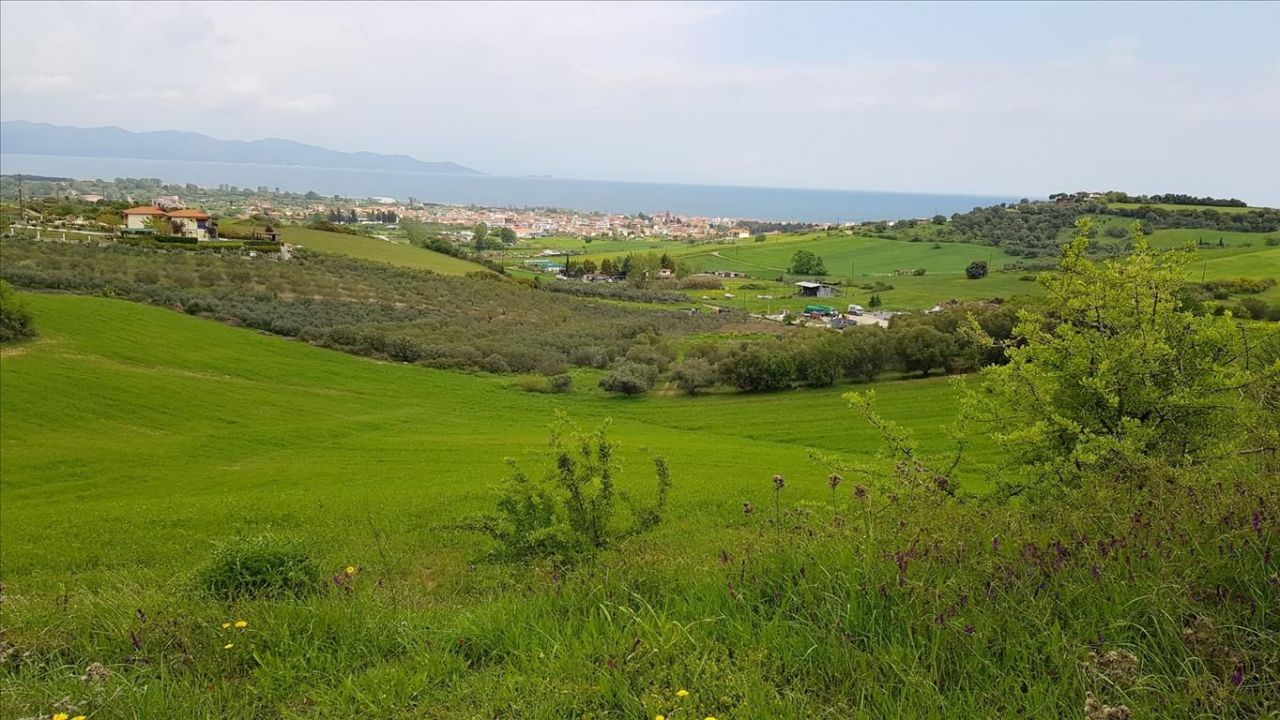 Land in Chalkidiki, Greece, 18 000 m² - picture 8