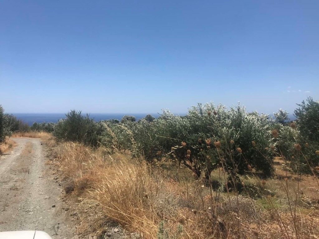 Land in Heraklion, Greece, 30 000 m² - picture 9