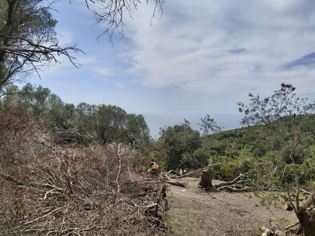 Grundstück in Korfu, Griechenland, 8 000 m² - Foto 9