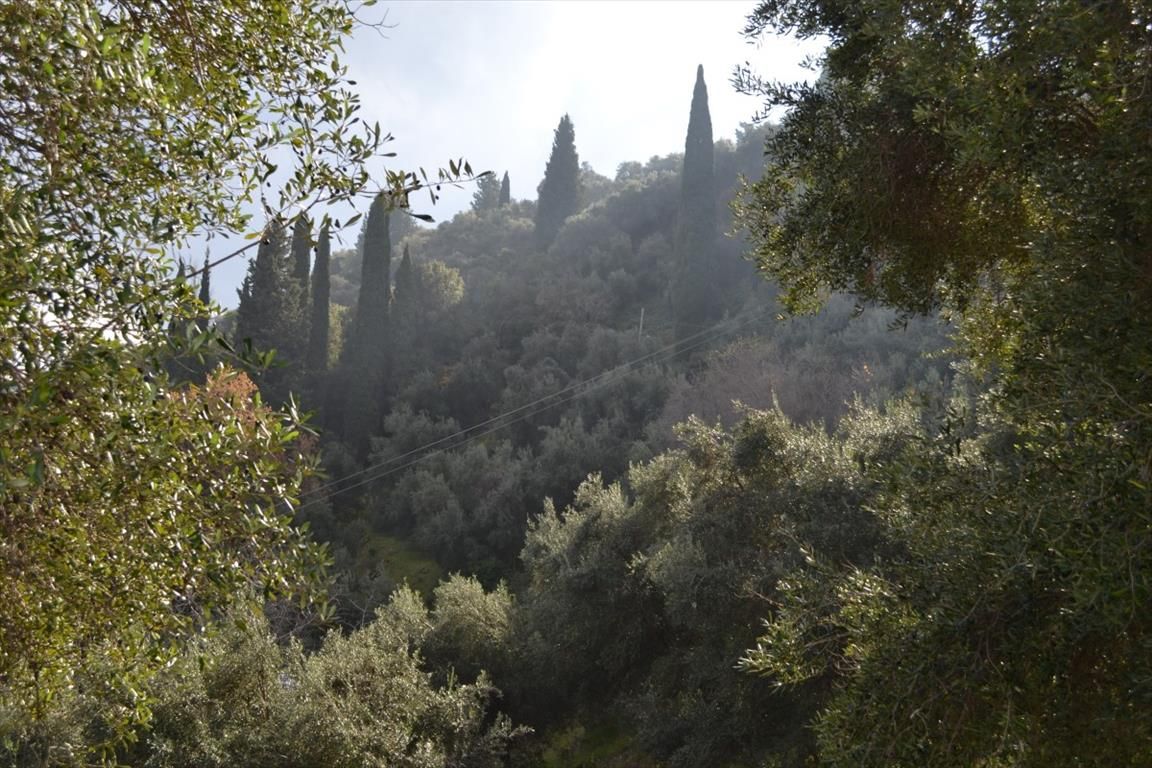 Land in Corfu, Greece, 4 420 m² - picture 9