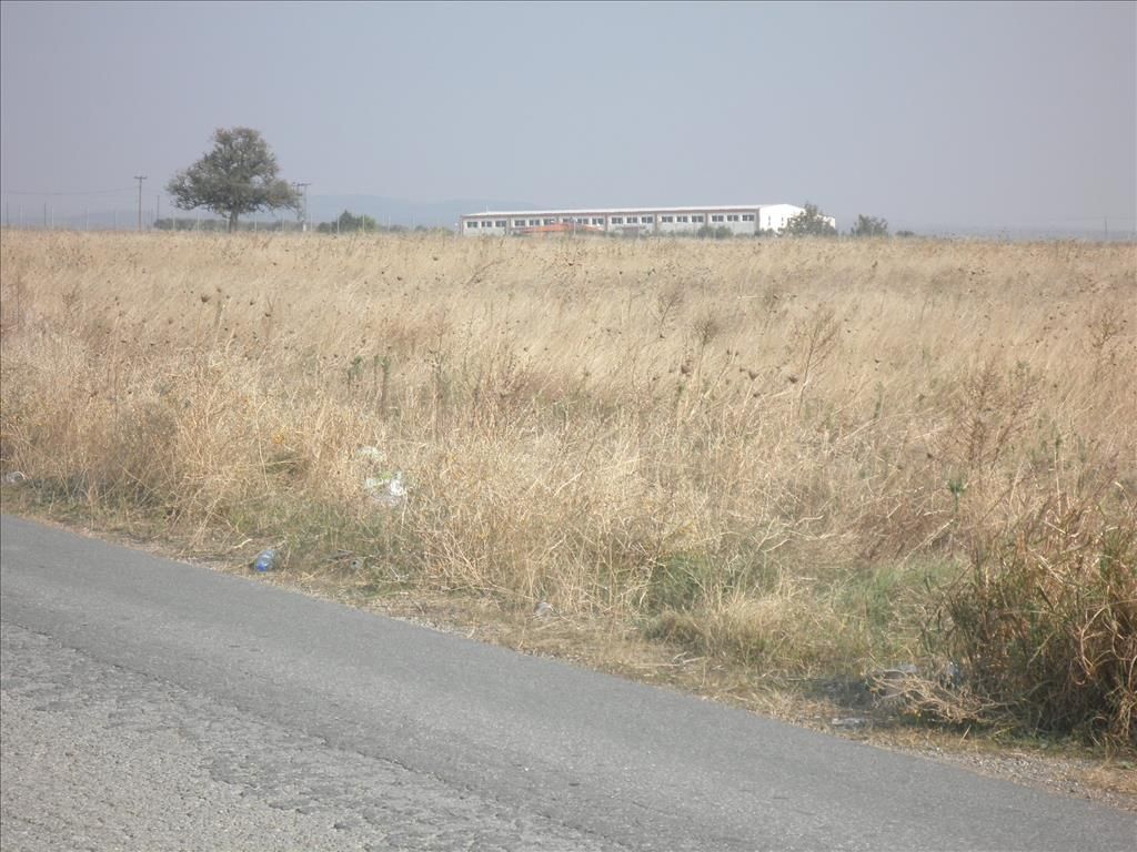 Terrain en Chalcidique, Grèce, 4 037 m² - image 9