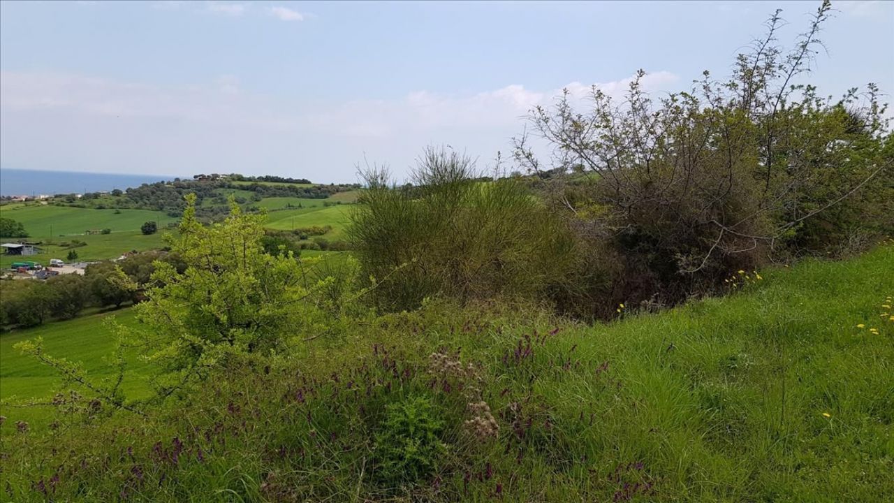Land in Chalkidiki, Greece, 18 000 m² - picture 9