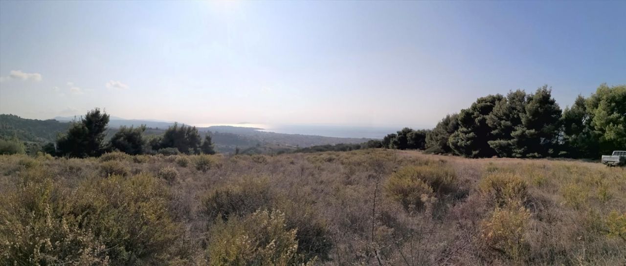 Terrain en Sithonie, Grèce, 5 000 m² - image 8