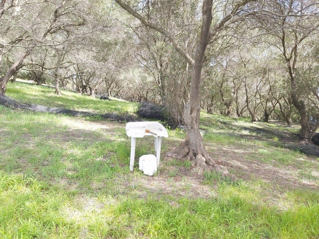 Grundstück in Korfu, Griechenland, 8 000 m² - Foto 10