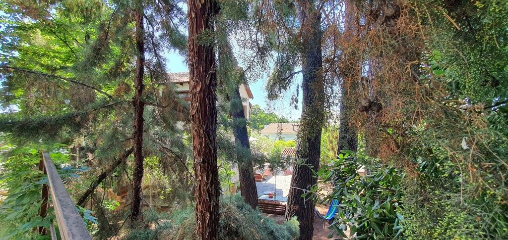 Casa en Sitonia, Grecia, 170 m² - imagen 10