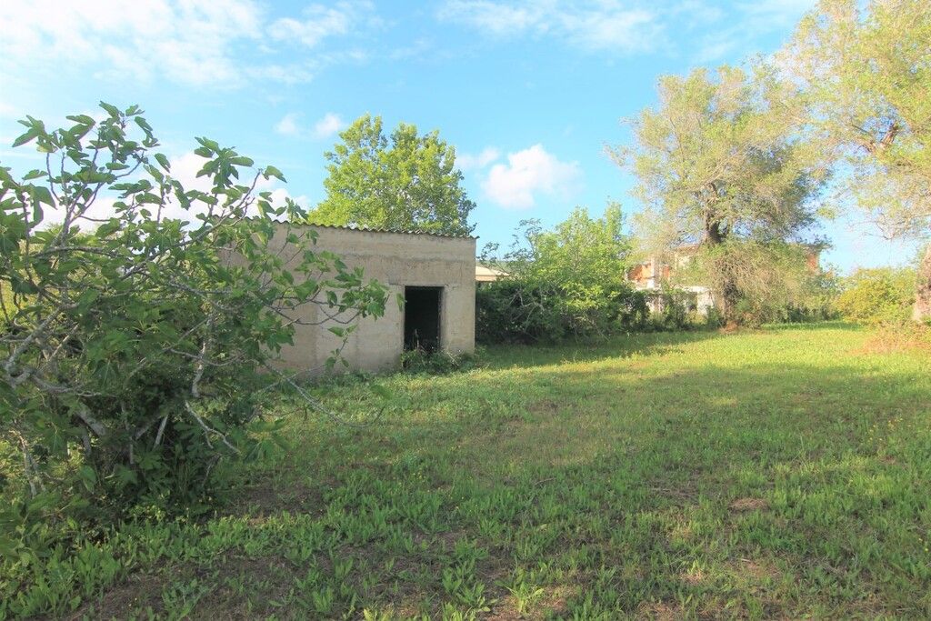 Terrain à Corfou, Grèce, 4 188 m² - image 10