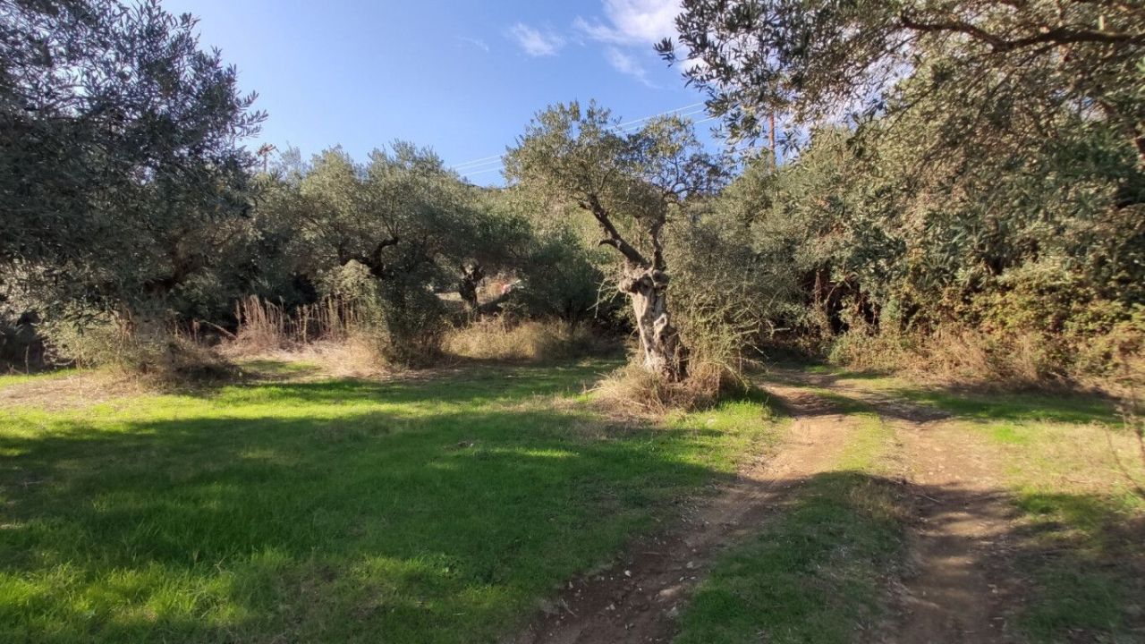 Grundstück in Sithonia, Griechenland, 3 700 m² - Foto 10