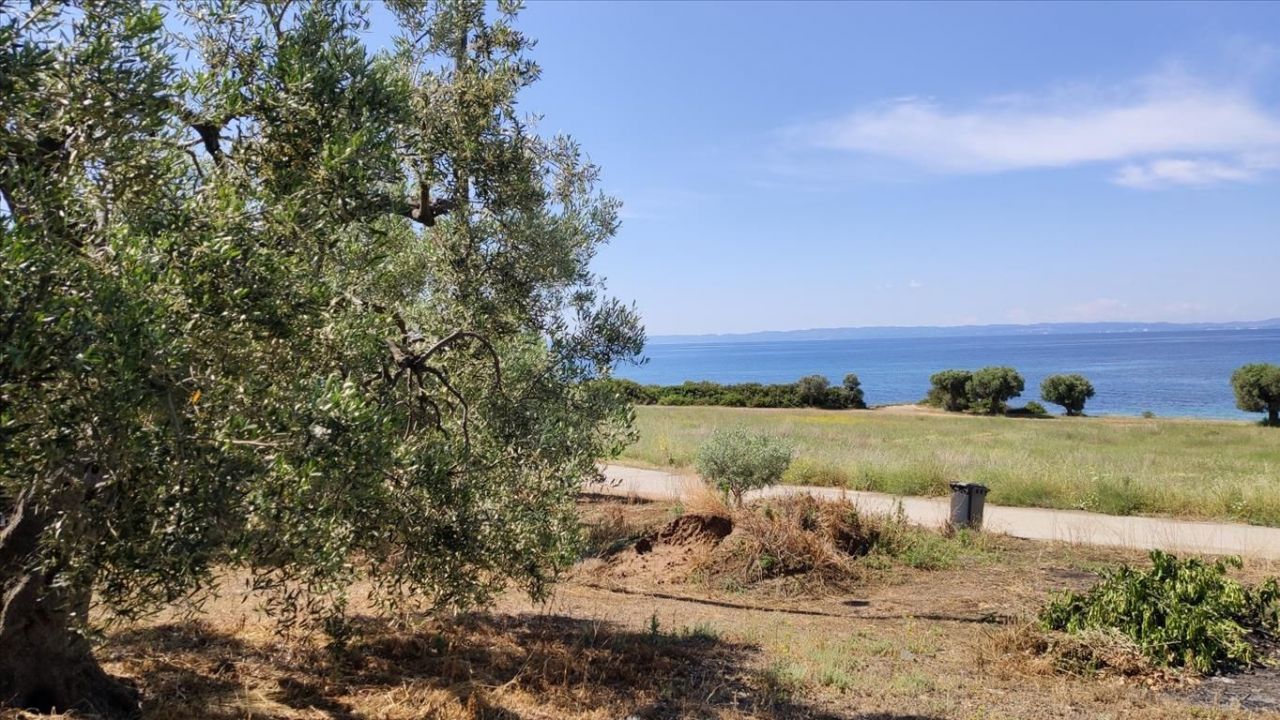 Land in Sithonia, Greece, 13 750 m² - picture 10