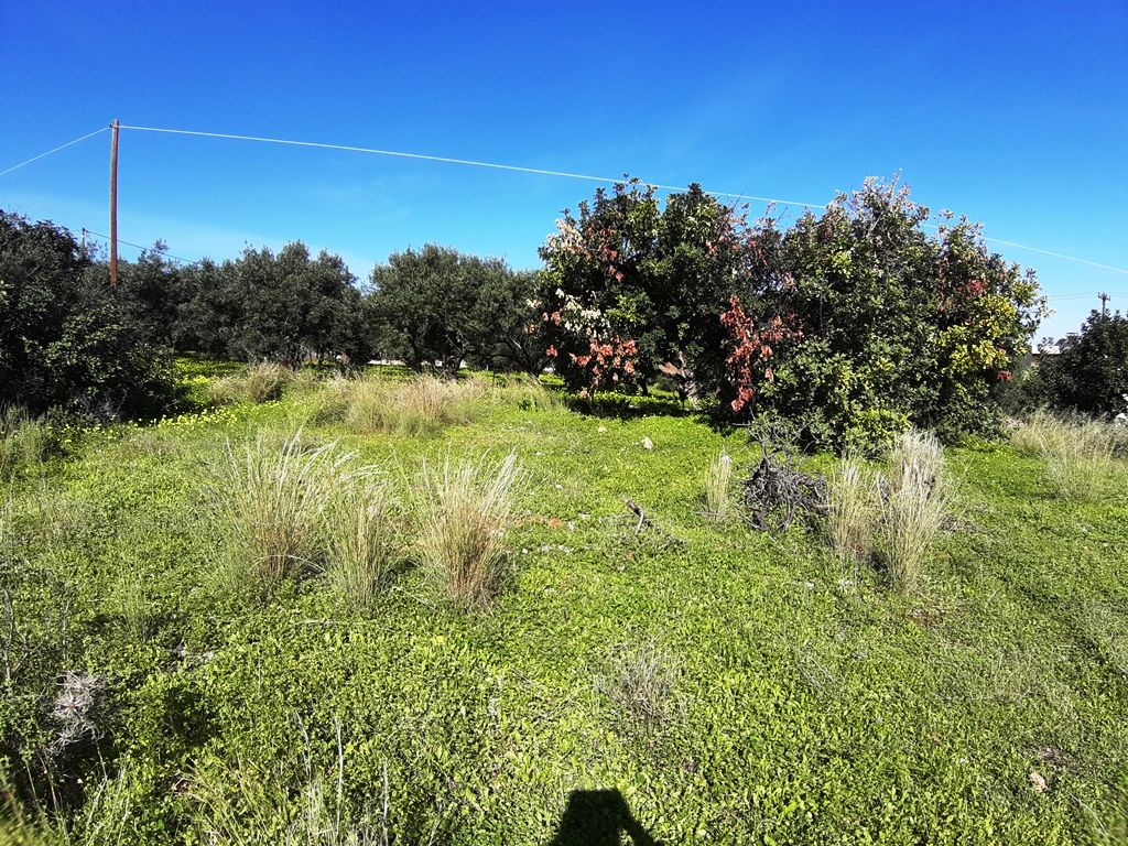 Terreno a Heraklion, Grecia, 14 000 m2 - foto 10