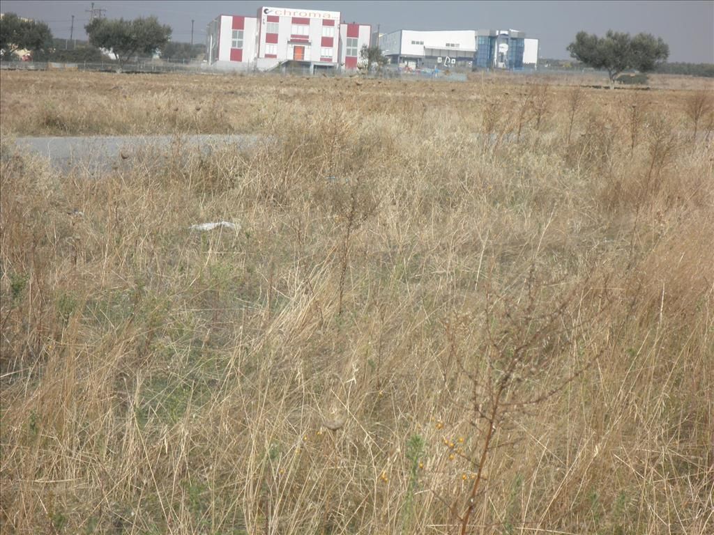 Terrain en Chalcidique, Grèce, 4 037 m² - image 10