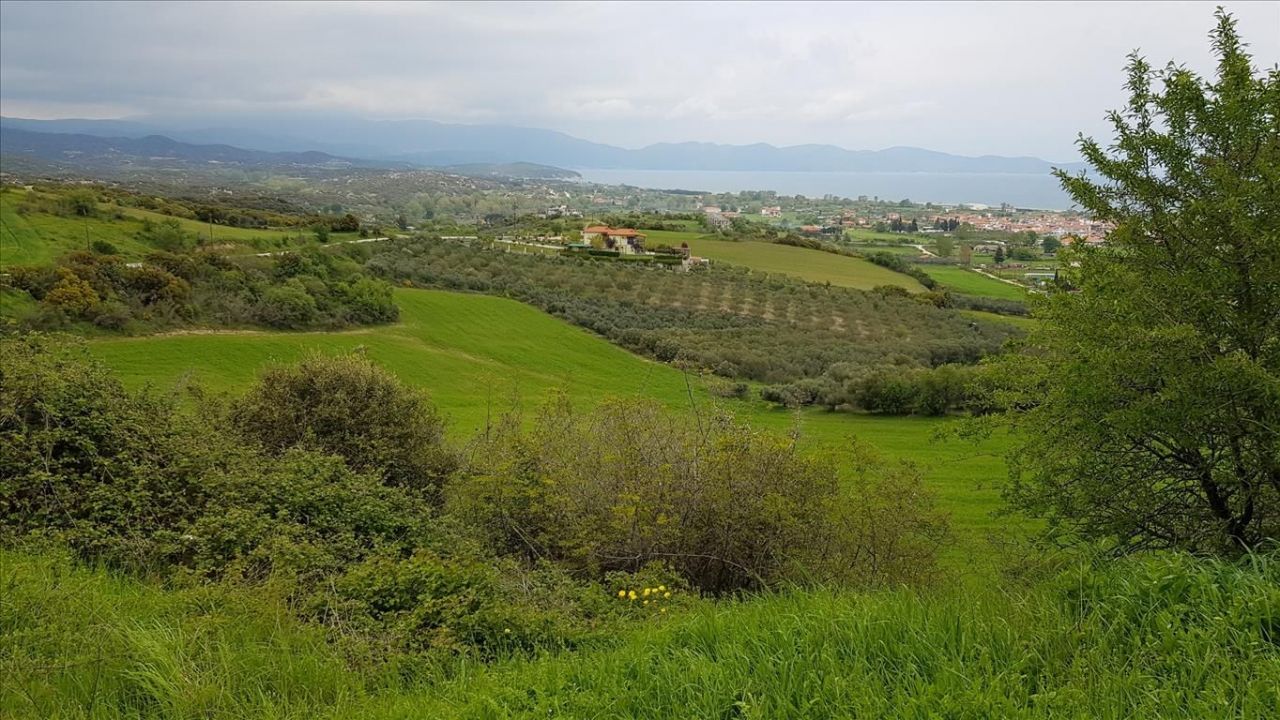 Land in Chalkidiki, Greece, 18 000 m² - picture 10