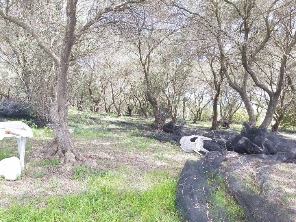 Grundstück in Korfu, Griechenland, 8 000 m² - Foto 11