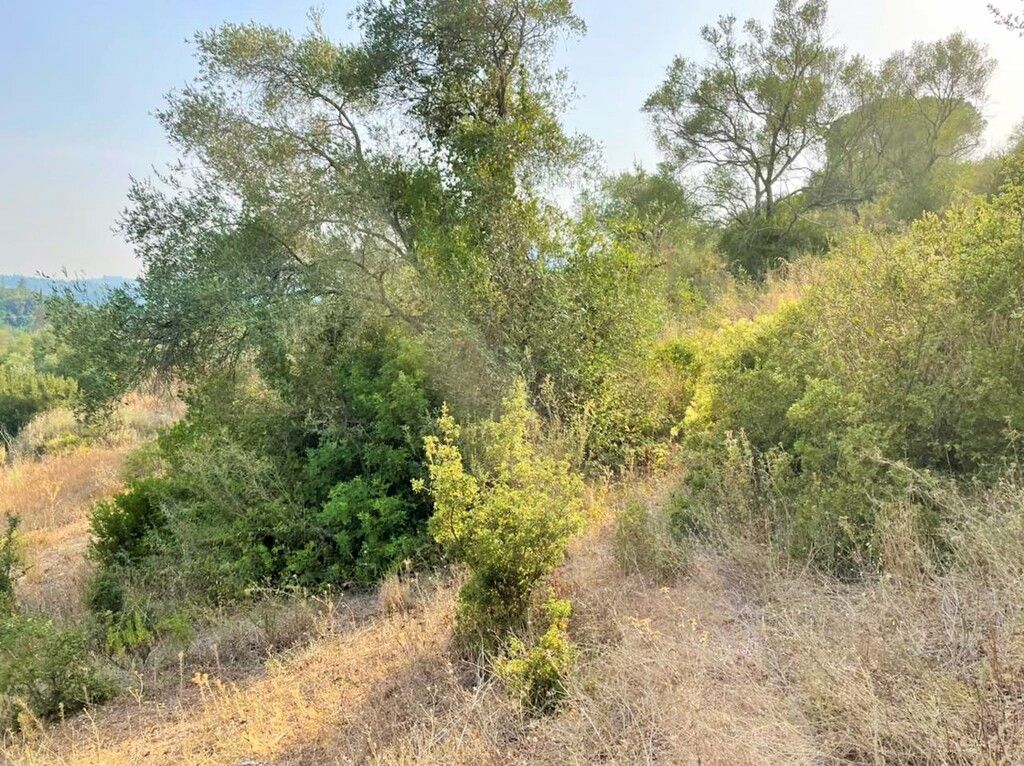 Grundstück in Korfu, Griechenland, 21 000 m² - Foto 11