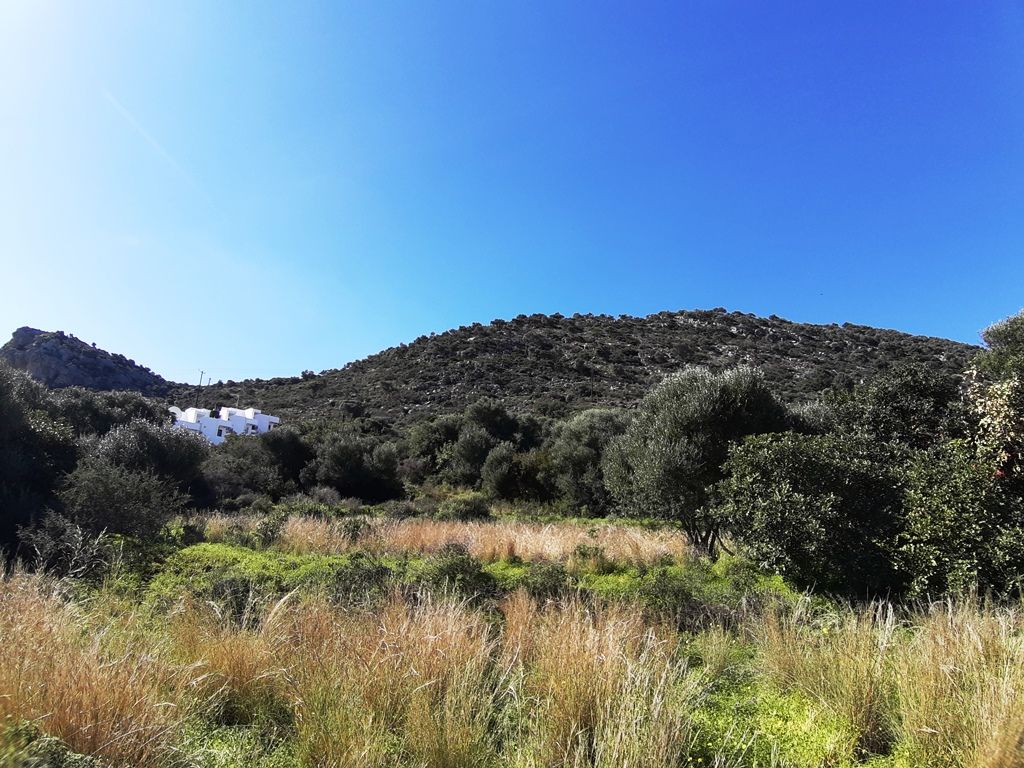 Terreno a Heraklion, Grecia, 14 000 m2 - foto 11