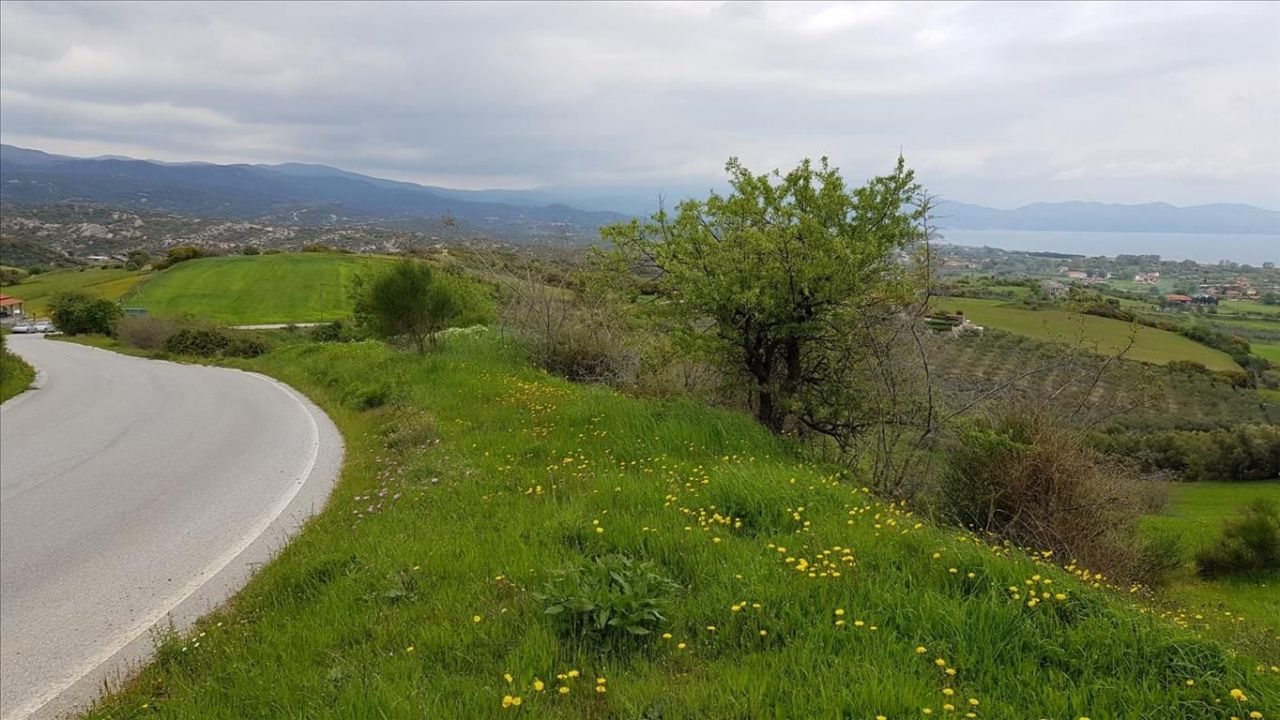 Land in Chalkidiki, Greece, 18 000 m² - picture 11