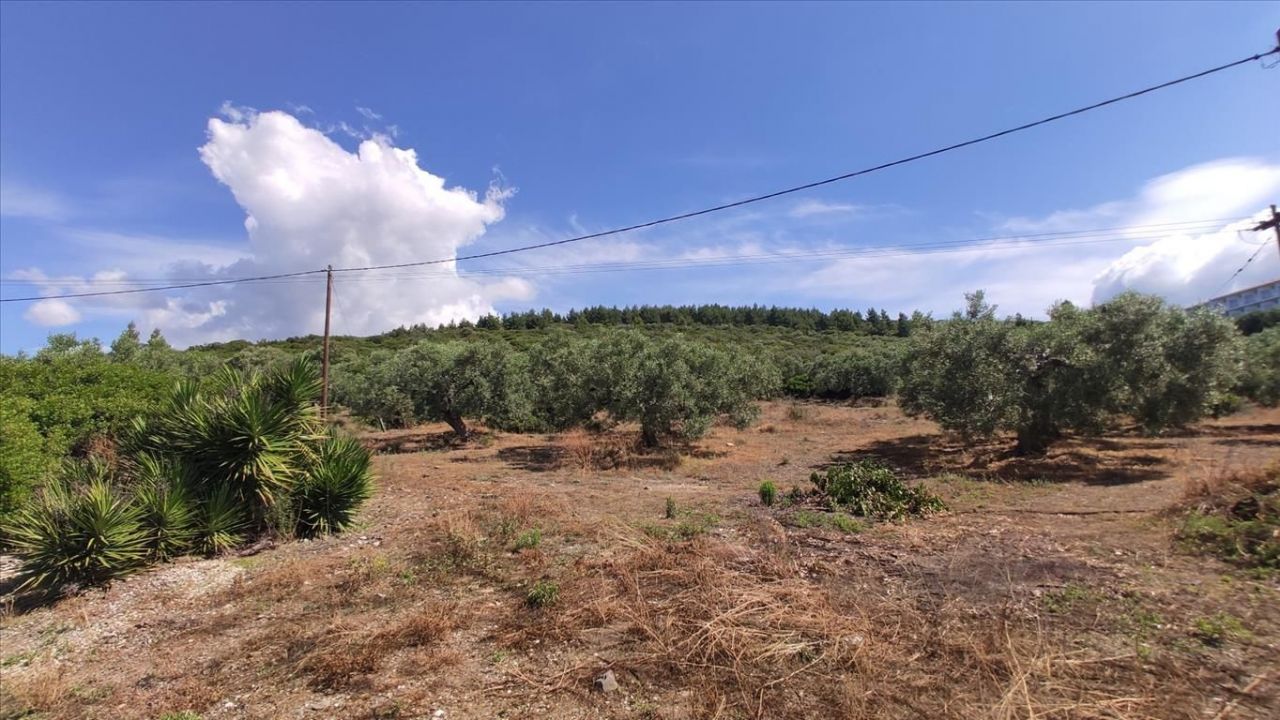 Land in Sithonia, Greece, 13 750 m² - picture 12