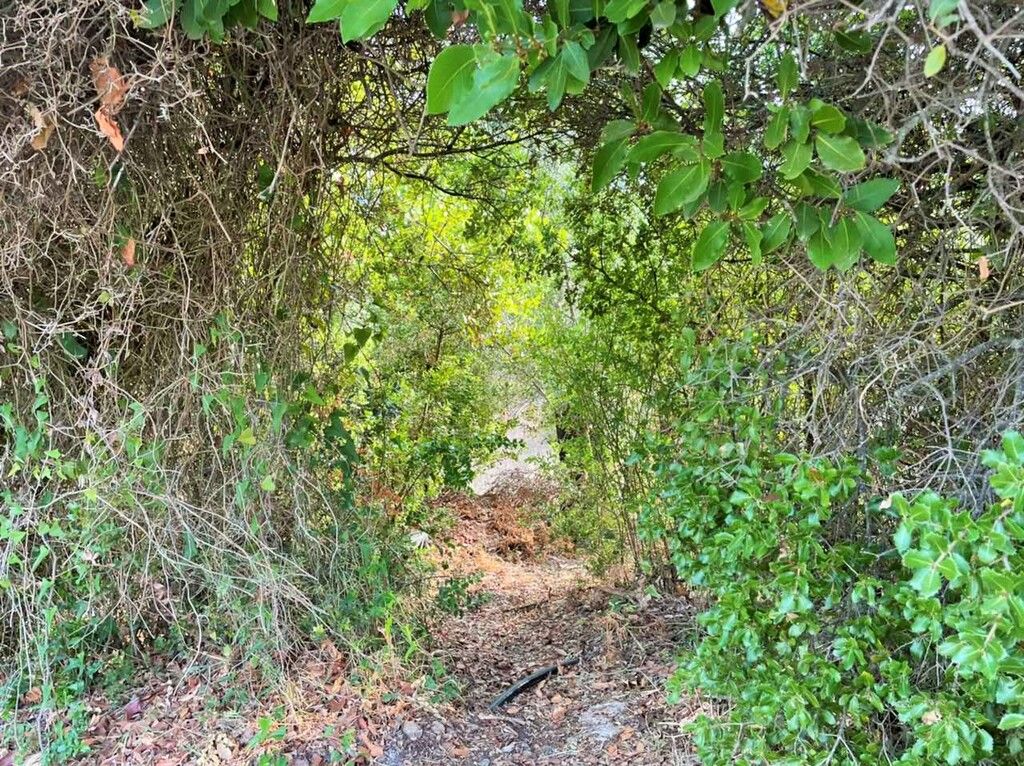 Grundstück in Korfu, Griechenland, 21 000 m² - Foto 13