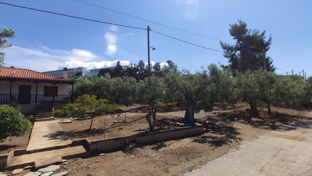 Land in Sithonia, Greece, 13 750 m² - picture 13