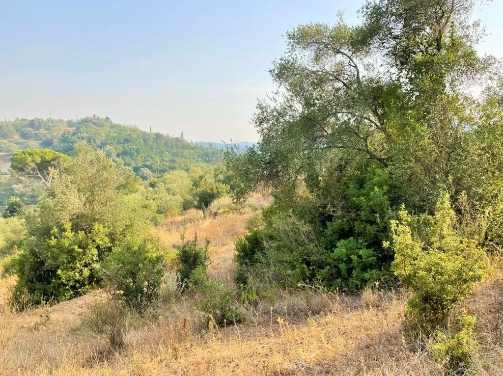 Grundstück in Korfu, Griechenland, 21 000 m² - Foto 14