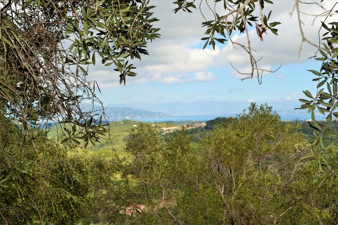Land in Corfu, Greece, 4 673 m² - picture 14