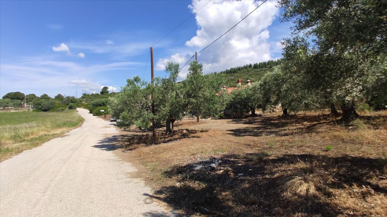 Land in Sithonia, Greece, 13 750 m² - picture 14