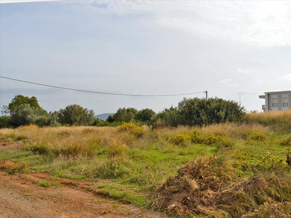 Land in Rafina, Greece, 1 750 m² - picture 1