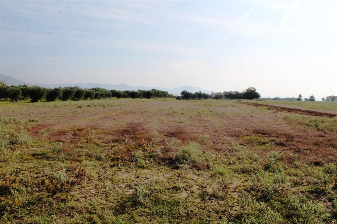 Terreno en Salónica, Grecia, 11 600 m² - imagen 1