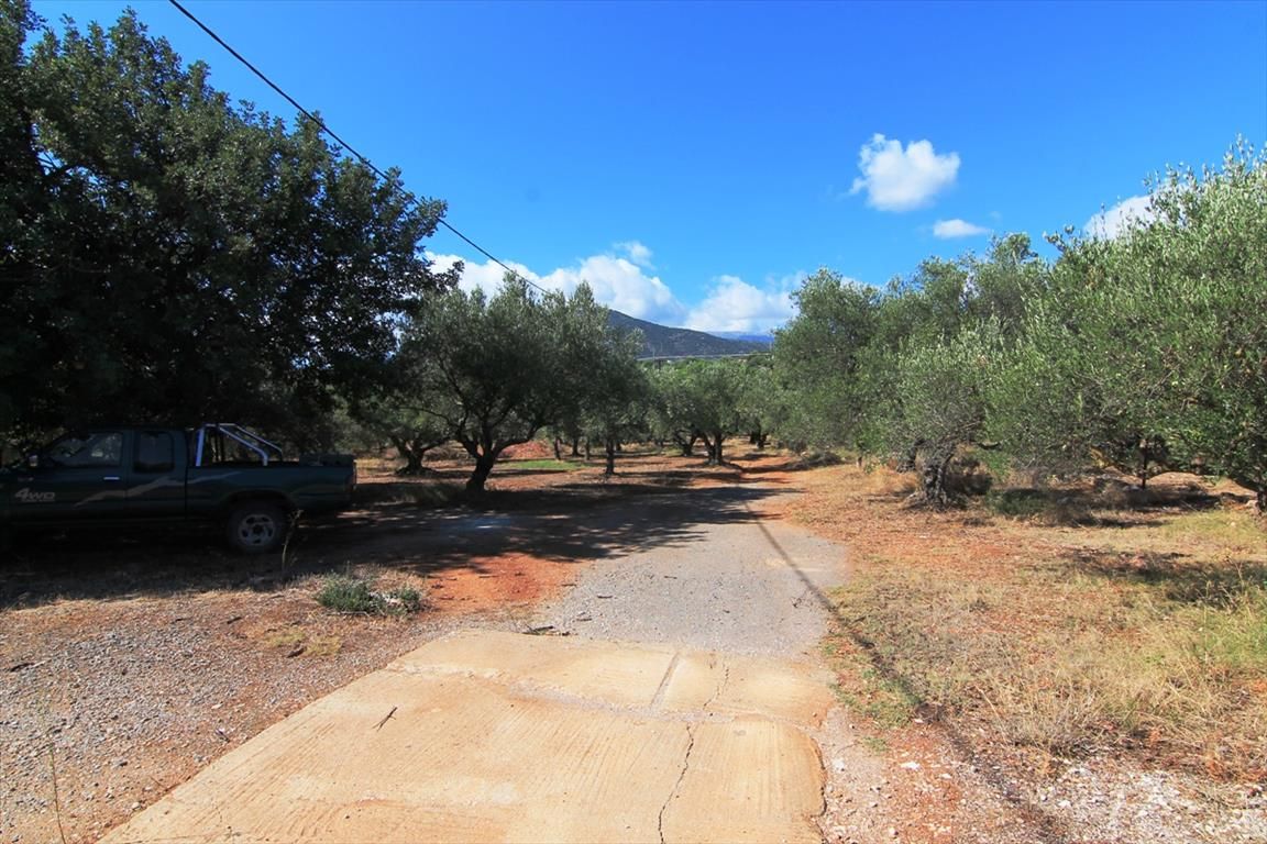 Land in Lasithi, Greece, 7 800 m² - picture 1