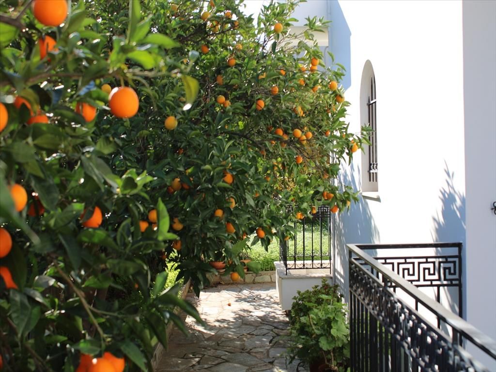 House in Corinthia, Greece, 160 m² - picture 1