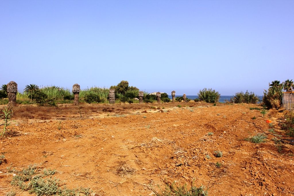 Terrain à Réthymnon, Grèce, 1 300 m² - image 1