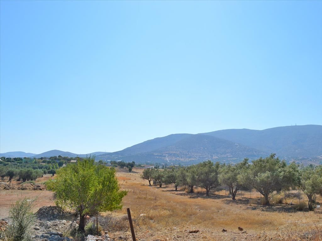 Grundstück in Lagonisi, Griechenland, 5 300 m² - Foto 1