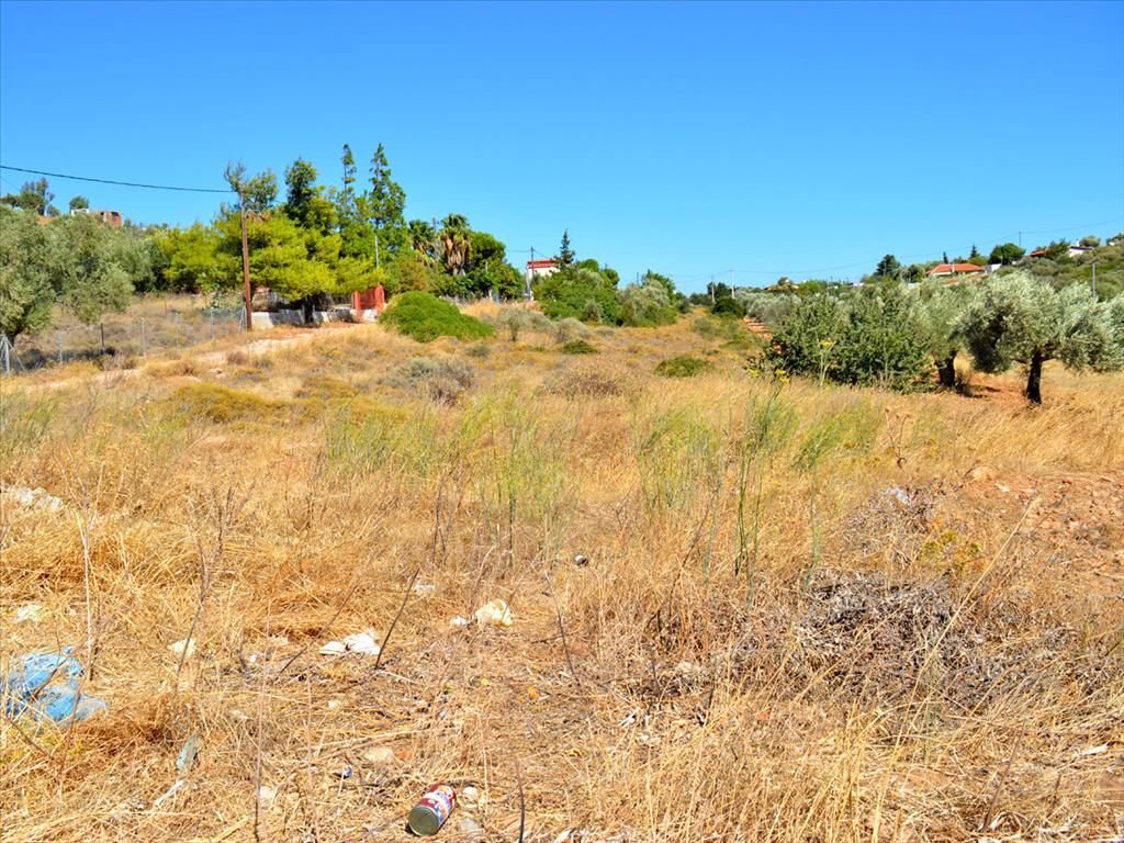 Land in Agios Konstantinos, Greece, 4 700 m² - picture 1