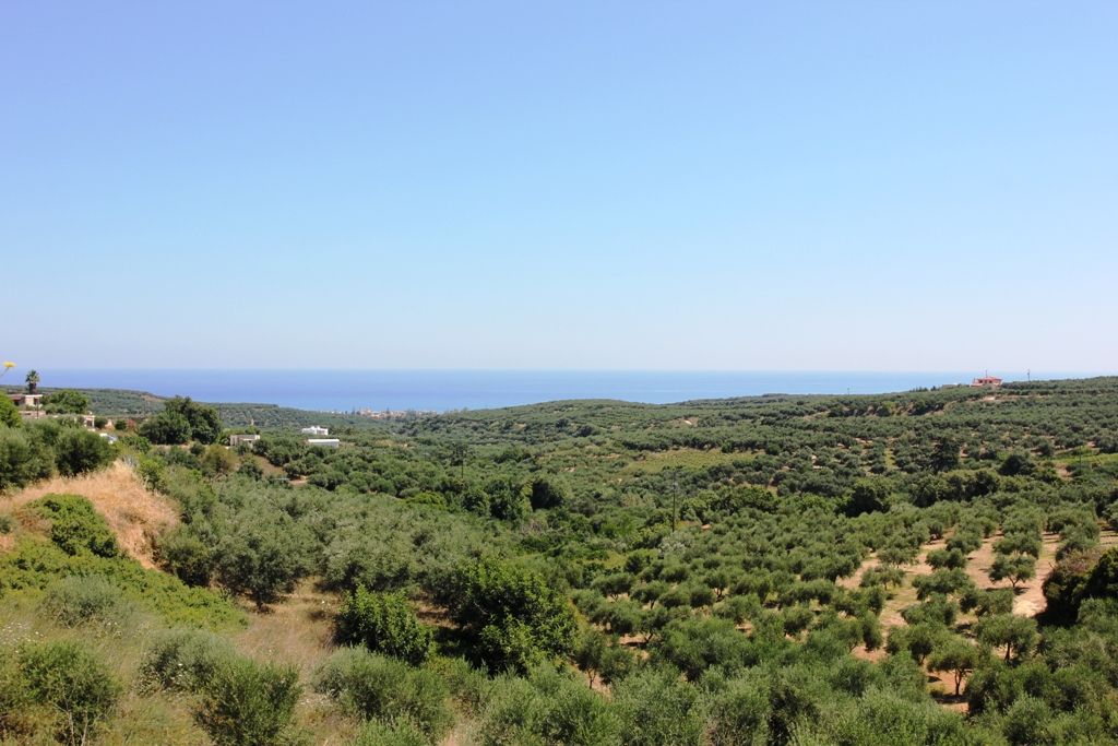 Land in Chania Prefecture, Greece, 3 500 m² - picture 1