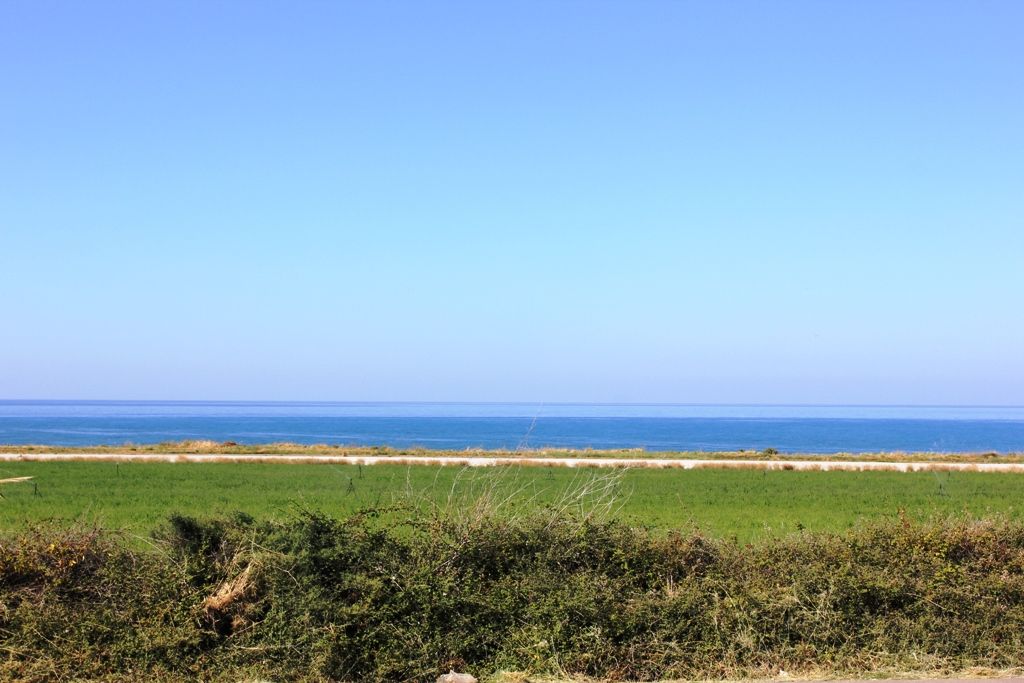 Land in Chania Prefecture, Greece, 4 700 m² - picture 1