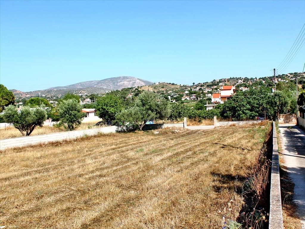 Grundstück in Lagonisi, Griechenland, 1 385 m² - Foto 1