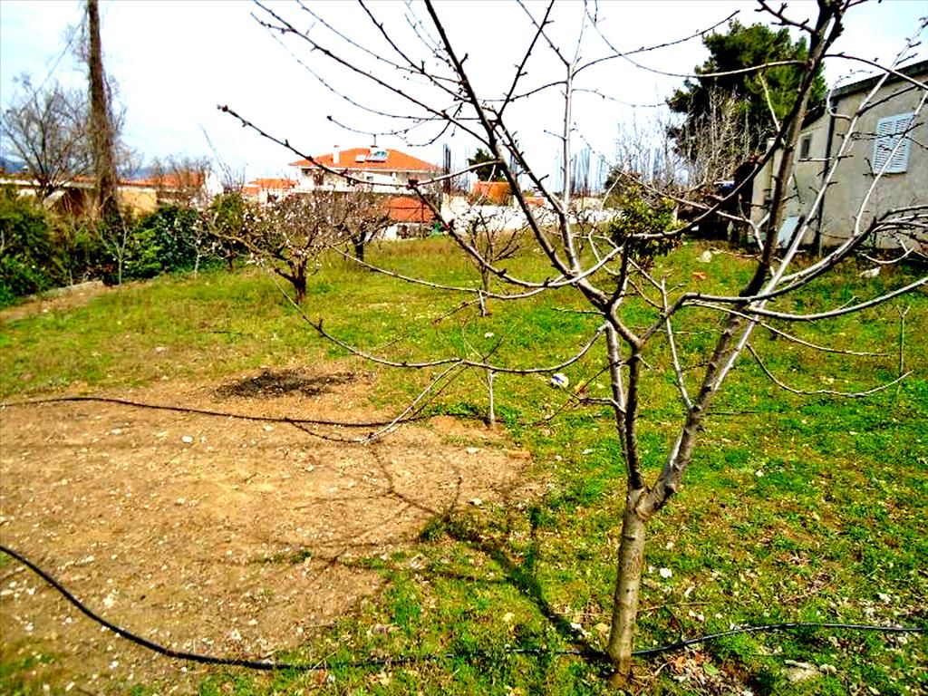 Terreno en Agios Stefanos, Grecia, 1 800 m² - imagen 1