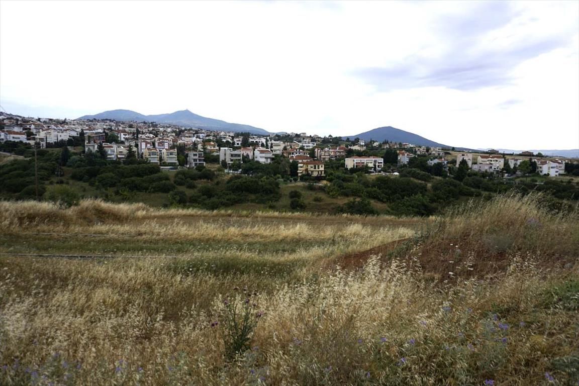 Land in Thessaloniki, Greece, 6 660 m² - picture 1