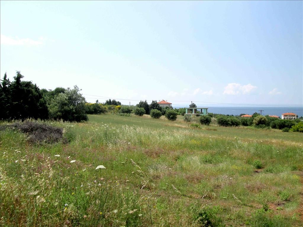 Terrain en Chalcidique, Grèce, 6 534 m² - image 1