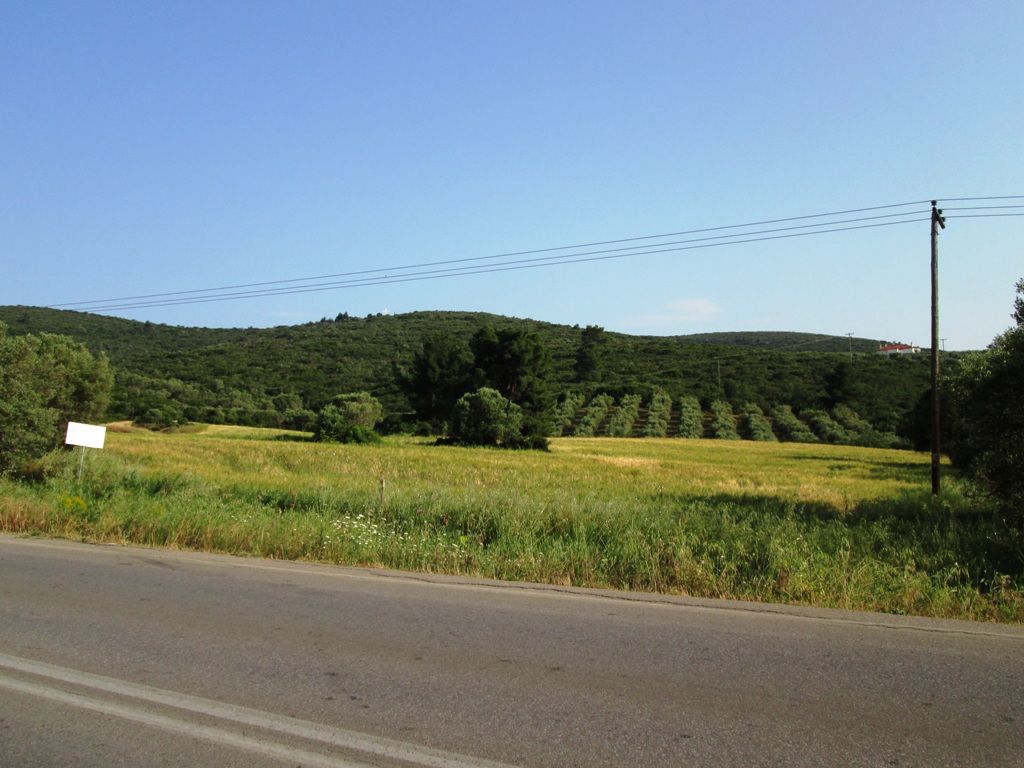 Land in Sithonia, Greece, 12 000 m² - picture 1