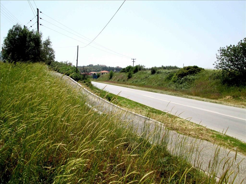 Land in Sithonia, Greece, 3 100 m² - picture 1